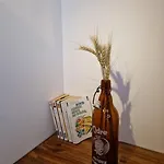 Apartment Prive Avec Terrasse Chanonat
