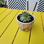 Prive Avec Terrasse *