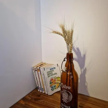Apartment Prive Avec Terrasse Chanonat