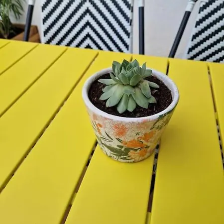 Prive Avec Terrasse *